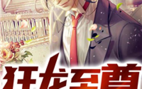 狂龙至尊(秦天辰孙金亮)小说在哪里看?