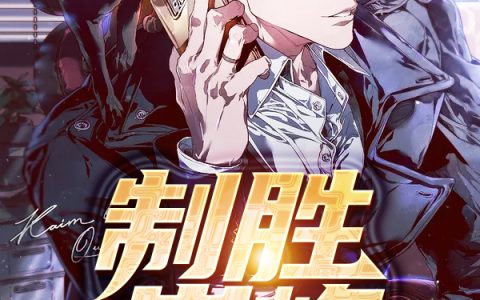 求制胜巅峰小说免费资源