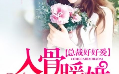 主角叫米开朗基罗大卫《入骨暖婚总裁好好爱》书籍章节列表