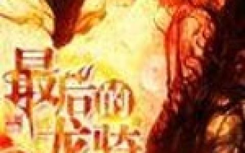最后的龙骑(甘地雷火)小说在哪里看?