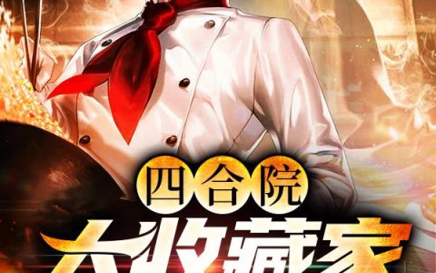 主角叫何跃阳秦淮茹《四合院：大收藏家，从厨师开始》书籍章节列表