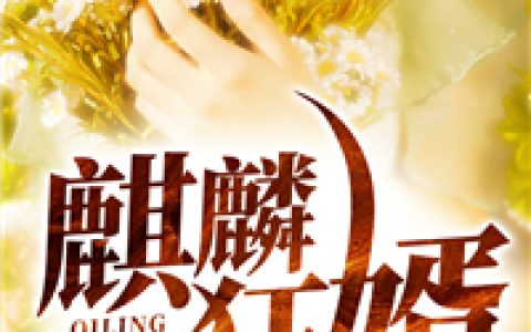 微信小说看到的《麒麟狂婿》求最新章节
