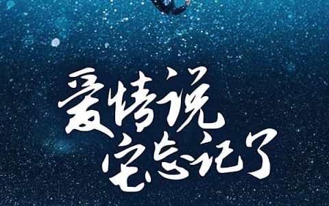 求小说《爱情说它忘记了》全文免费阅读资源！