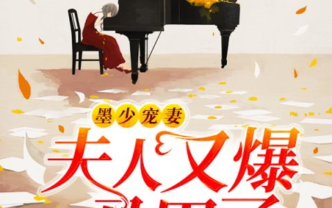 微信小说看到的《墨少宠妻，夫人又爆马甲了》求最新章节