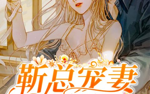 靳总宠妻又宠娃(苏小小靳穆炀)小说在哪里看?