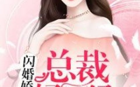 微信小说看到的《闪婚娇妻：总裁好凶猛》求最新章节