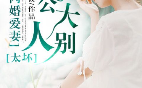 叶念桐叶忱小说最新章节列表