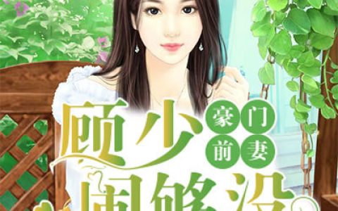 主角叫顾子琛楚筱晴《豪门前妻:顾少闹够没》书籍章节列表