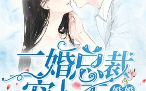 主角叫苏念林宇《婚婚欲宠：二婚总裁宠上天》书籍章节列表