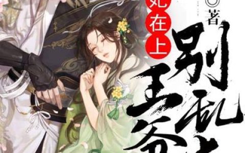主角叫苏望泞江逑《萌妃在上：王爷别乱来》书籍章节列表