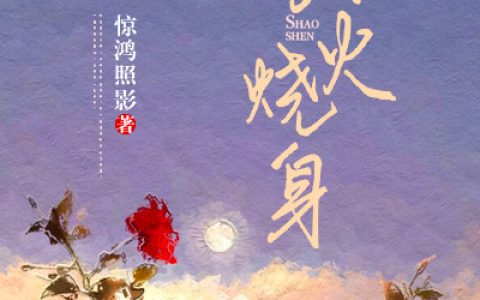 引火烧身最新的章节怎么看?