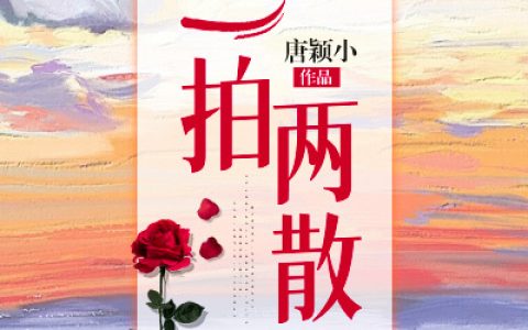 主角叫陈念徐晏清《一拍两散》书籍章节列表