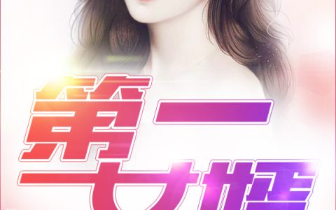 求小说《第一女婿》全文免费阅读资源！