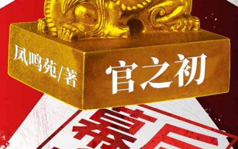 微信小说看到的《官之初：幕后之王》求最新章节