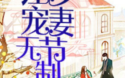 江少宠妻无节制(华笙夜夜江流)小说在哪里看?