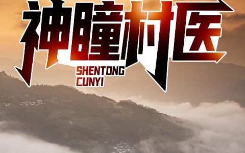 求小说《神瞳村医》全文免费阅读资源！