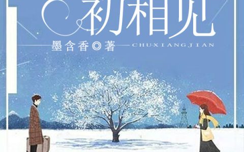 主角叫苏秦温宁《人生若无初相见》书籍章节列表