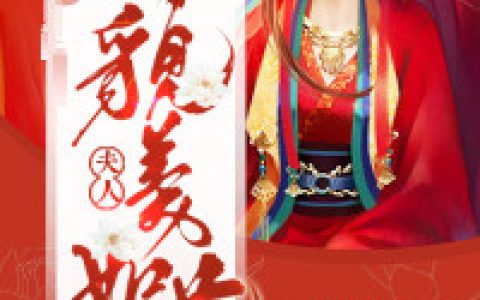 主角叫陆离陆轻璇《夫人貌美如花》书籍章节列表
