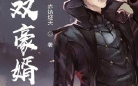 求小说《无双豪婿》全文免费阅读资源！