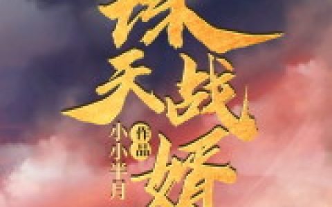 求小说《诛天战婿》全文免费阅读资源！