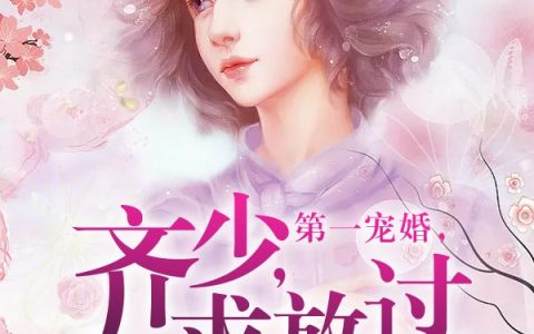 第一宠婚，齐少，求放过(黎九齐北晏)小说在哪里看?