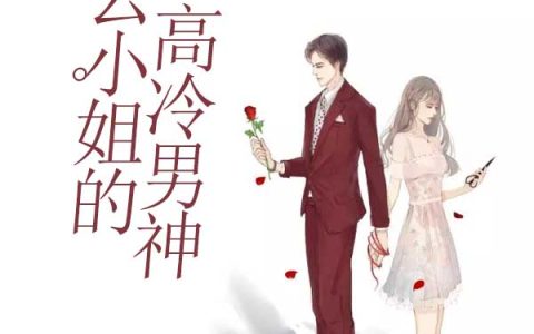 云小姐的高冷男神(厉淮陌厉少)小说在哪里看?