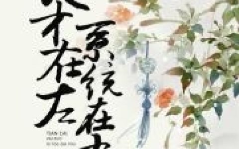 主角叫宸公子流云《天才在左，系统在右》书籍章节列表