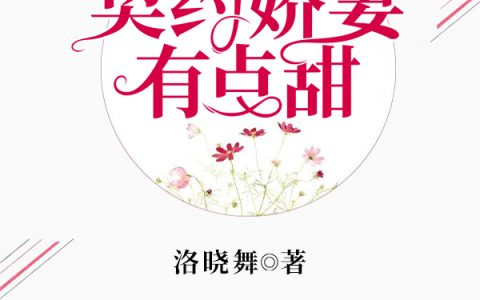 求小说《齐先生，契约娇妻有点甜》全文免费阅读资源！