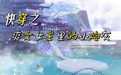 最新章节《快穿之爽文女主里的小炮灰》全文免费阅读