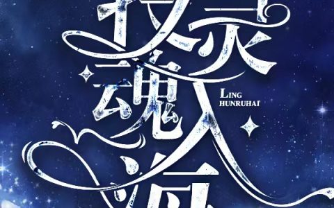 《投灵魂入海》免费在线阅读邵翊明甄筱晨
