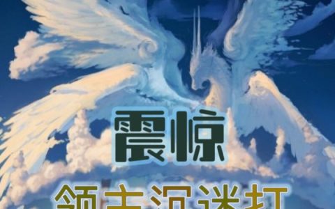 主角叫威尔·哈里斯小说免费资源