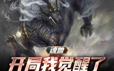 魂兽：开局我觉醒了麒麟武魂熊猫胖达龙完整版