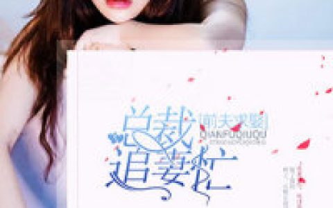 求小说《曲婉凌慕白小说书名》全文免费阅读资源！