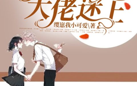 在线阅读贺洛珈缨崽我小可爱小说免费资源