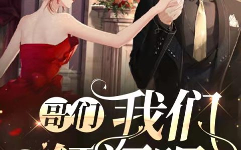 哥们，我们领证吧（林悠扬夏斯文）在线免费阅读