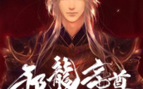 邪龙帝尊苏宇城苏家嫡小说【已完结】