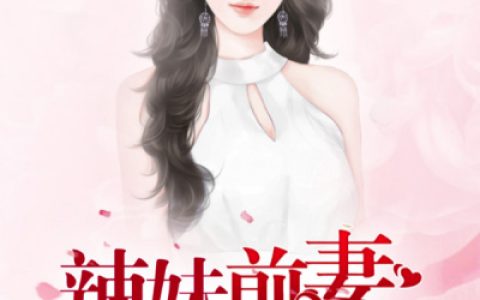 求小说《枕边蜜宠：辣妹前妻不好追》全文免费阅读资源！