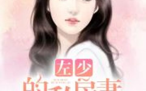 主角叫薛思思左天凌《左少，情深不晚》书籍章节列表
