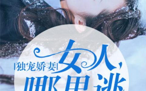 求小说《独宠娇妻：女人哪里逃》全文免费阅读资源！