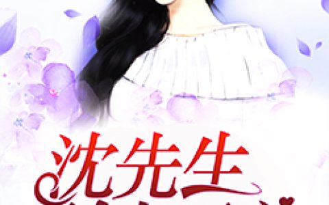 小说沈先生，别来无恙《齐修雨沈慕城》在线全文免费阅读