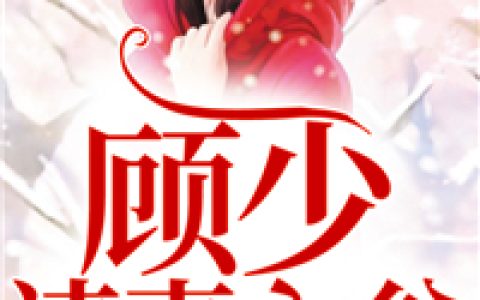 杜小小市被(顾少请妻入瓮)全集在线阅读_(杜小小市被)全章节免费阅读