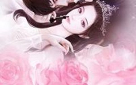 《离婚后前夫跪求复婚》温伊暮景琛_离婚后前夫跪求复婚全集在线阅读