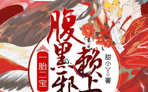 《一胎二宝，腹黑邪王赖上门》云若夕孙婆婆全文阅读_《一胎二宝，腹黑邪王赖上门》最新章节免费阅读