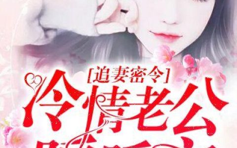 (安锦兮江成轩)追妻密令：冷情老公暖暖宠_(追妻密令：冷情老公暖暖宠)全本免费在线阅读