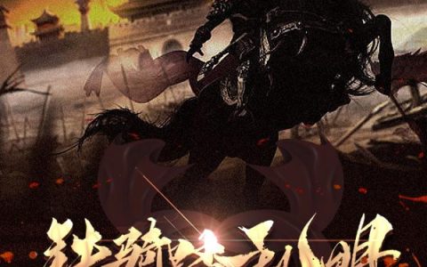 沈默卓亚《铁骑踏乱明》全文阅读_沈默卓亚全章节在线阅读