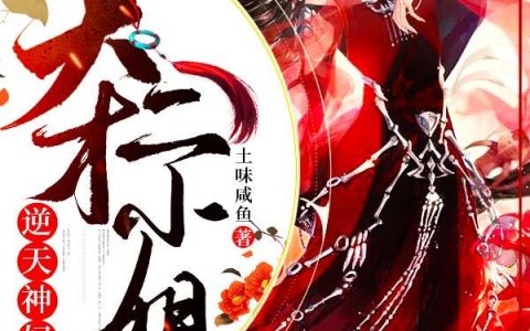 安晴儿凤萧笙《逆天神妃：天才二小姐》最新章节免费阅读_《逆天神妃：天才二小姐》全章节在线阅读