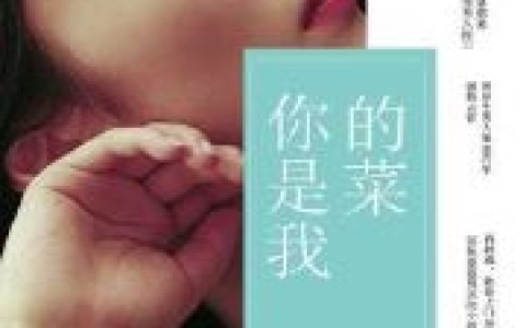 (你是我的菜)阎北小仙子全集免费在线阅读_《你是我的菜》完结版阅读