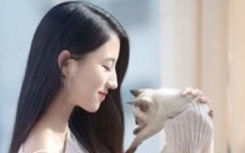 慕容夜张纽约《猎爱入局：总裁的强悍妻》_慕容夜张纽约完结版免费阅读