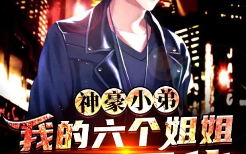 《神豪小弟：我的六个姐姐绝代风华》李斌叶天_(神豪小弟：我的六个姐姐绝代风华)全文在线阅读