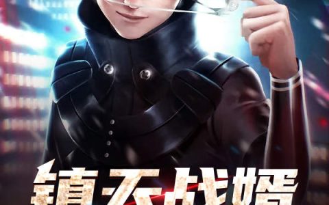 《镇天战婿》刘辰林息全本阅读_《镇天战婿》完结版在线阅读